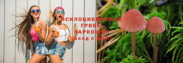 дурь Елизово