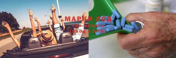 сатива Нязепетровск