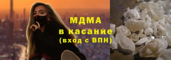гашик Ельня
