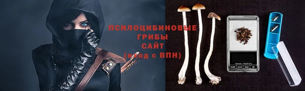 мескалин Краснослободск