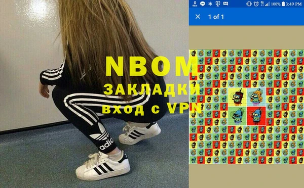 сатива Нязепетровск