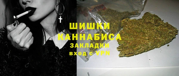 гидра Шали