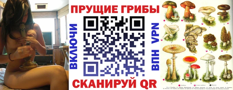 Псилоцибиновые грибы GOLDEN TEACHER  Пикалёво 