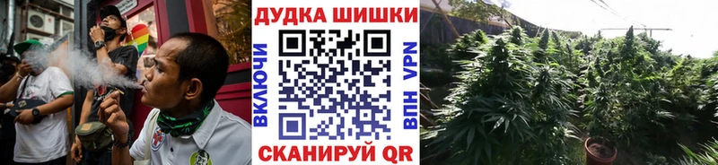 магазин продажи наркотиков  Пикалёво  Канабис Amnesia 